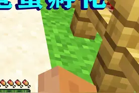我的世界203：见证破壳瞬间！3颗蛋孵出4只海龟，太神奇了！