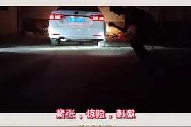 眼镜王蛇，剧毒！2000年8月列入国家三有保护动物目录至今未变，受法律保护#茶茶野保科普 #疫情在前警察不退视频封面