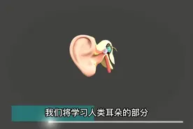 人体器官:耳朵的结构与功能视频封面