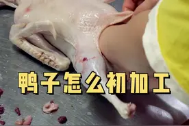 买来的#鸭子 虽然已经处理好了，但还是需要大家清理一下才能卤制，新手参考这三步。#卤菜 #寻个地道味视频封面