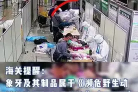 勿把“非洲狮”带回国视频封面