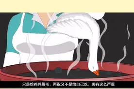 #dou是知识点 有毒！都是脱鸭毛惹的祸！#轻知识计划视频封面