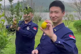 队里的橘子“熟了”，当然要和最重要的人分享啊～（大邑大队）#消防员装镇定骗队友吃酸橘子视频封面