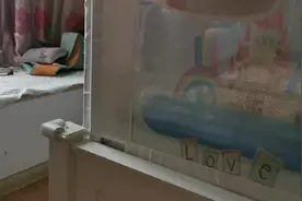 家里为什么会有小黄蚂蚁，灭蚂蚁的好方法#小黄家蚁 #蚂蚁视频封面