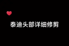 泰迪头部详细修剪#宠物美容 #抖音小助手 #狗 #宠物店