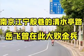 坐标南京江宁殷巷清水亭路，岳飞曾在此大败金兵#文化旅游视频封面