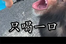 1963左右，哥伦比亚大学医生进行过两例把大猩猩的肾脏移植入人体的试验。两个病人分别活了63日和9个月#涨知识