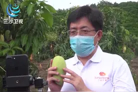 三亚市市长阿东为帮助受疫情影响的农民，现身直播间推销三亚芒果视频封面