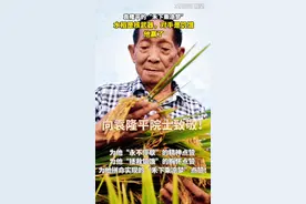 他把水稻比作核武器，对手是饥饿，他赢了！“90后”袁隆平的“禾下乘凉梦”。