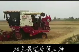 收割机老司机割地头的三种方式。#三农 #农业 #农机人 #抖音助农 #心系三农服务三农 #现代农业机械 #服务三农支持三农 #农业机械 #抖音农机 #收割机 #服务三农 #三农服务 #小麦收割机 #联合收割机 #抖音助农扶农 #现代农业 #农业技术推广 #抖音助农☞ @DOU+小助手 视频封面