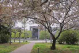 #山东管理学院 #校园生活 #春暖花开奔你而来视频封面