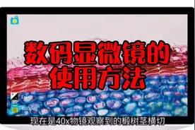 生物数码显微镜的使用方法，大家来围观哦😁#实验课