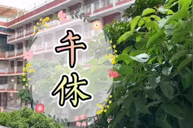科学午休：午睡时间最好控制在半小时内，否则醒来会很不舒服视频封面