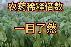 #三农 #农业种植 #蔬菜 #农业 #抖音助农 #大棚 @抖音短视频 农药稀释倍数换算。你都知道吗？一张图表帮你解决视频封面