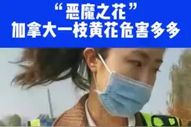 “恶魔之花”危害多多，大家如果发现一定要报告林业部门，专业人士去铲除#入侵物种 ⑬视频封面