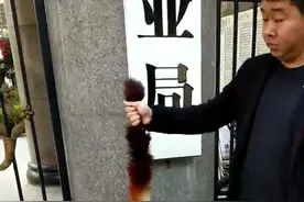 在镇巴县林业局门口，准备去放生的野生动物一一飞虎视频封面