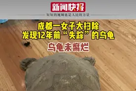 11月14日，四川成都，女子大扫除发现2009年“失踪”的乌龟。#乌龟 #四川 视频封面