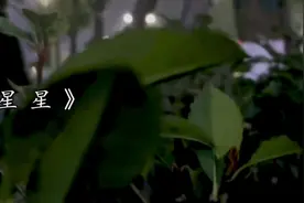 《星星》牛奶咖啡 完整版MV，走稳脚下的每一步路