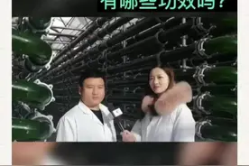 探秘小球藻～你知道小球藻有哪些功效吗？#小球藻视频封面