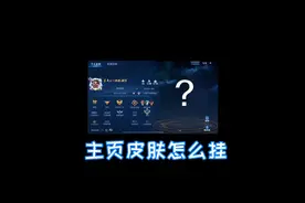 主页的皮肤，挂什么最好？！