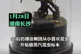 好酷！长沙小伙为昆虫穿上最酷的“机械战甲”@抖音短视频视频封面