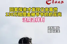 回家探亲才发现父亲离世，130万赔偿金被爷爷奶奶挥霍一空，法院这样判视频封面