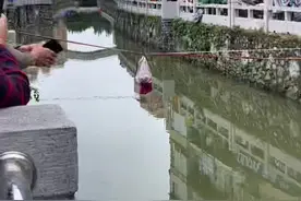 世上最远的距离，不是瞬间便无处寻觅，而是你在大塘，而那个她（它）在桥南新街，因为疫情有多少恋人被一条臭水沟而阻隔……#大塘桥南新街现代爱情故事#希望疫情早点结束恢复正常生活