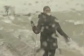 逗笑新闻社第24期#搞笑老外 #老外 #搞笑新闻