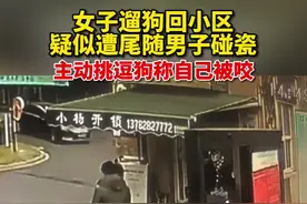 11月17日，河南焦作。女子遛狗回小区疑似遭尾随男子碰瓷，主动挑逗狗称自己被咬。视频封面
