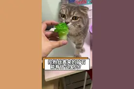 粉丝寄来的矿石能开出什么宝贝？#告别手动清毛发 #爱家爱宠清洁无忧#扫地机器人