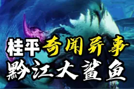 桂平黔江的鲨鱼奇闻，相信你一点没听过#奇闻异事 #广西桂平 视频封面