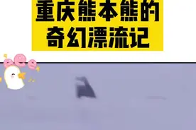 重庆熊本熊的奇幻漂流记@抖音短视频视频封面