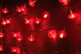 #灯笼 节日庭院装饰必备太阳能彩灯，真的不用电费喔视频封面