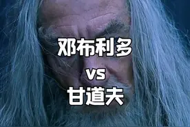 #哈利波特 #指环王 既然大家分不清，不如就让他俩打一架吧视频封面