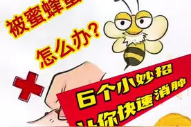 蜜蜂蛰了，不用怕！6个小妙招教你快速消肿#蜂蜜 #双11拿捏大全