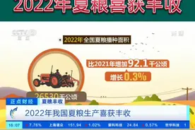 最新数据公布，2022年夏粮喜获丰收！#夏粮#粮食#农业视频封面