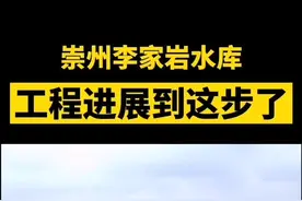 崇州#李家岩水库 ，工程进展到这步了……#最新消息 #建设 #站的高看的远视频封面