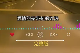 爱到心碎也不怪谁，再多苦也无所谓，就当作相爱都是一场误会……#带刺的玫瑰#完整版 #音乐分享 #百听不厌 #一首歌一个故事 