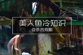#美人鱼 #我是西瓜混剪师  美人鱼电影冷知识视频封面