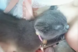 你和橘子的区别就是 他是我一把屎一把尿拉扯大的 你是妈妈养的
