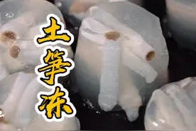 这个食材98%的人都没见过，师傅却拿它做一盘可口美味，晶莹剔透#地方特色美食 #美食推荐视频封面