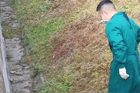 #国宝#大熊猫 奶爸：这声狗叫，吓我一跳！