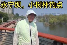灞河小树林#钓鱼 #钓鱼技巧 #钓鱼人 #野钓#西安免费钓点视频封面