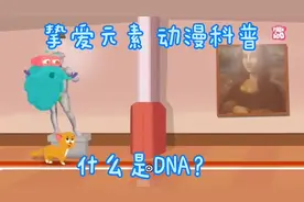 什么是DNA？#亲子教育 #动画 #科学 #少儿教育 #英语 #基因