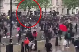 英国抗议现场，骑警冲进示威人群，撞上红绿灯杆摔下马视频封面