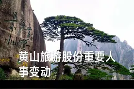 黄世稳任黄山市城投集团总裁职务 陶平先生辞去总裁职务后，拟担任公司控股股东黄山旅游集团有限公司董事、总裁职务，并继续担任公司第八届董事会董事及董事会战略委员会委员职务。 聘任孙峻先生为公司总裁#黄山旅游股份有限公司 视频封面