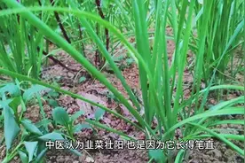 “饮食男女，人之大欲存焉”——《礼记》视频封面