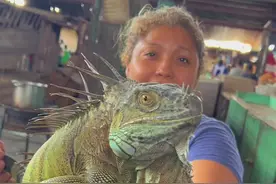 #爱护大自然保护野生动物 #神奇动物在抖音 #万物皆有灵性  保护野生动物就是保护我们人类自己视频封面