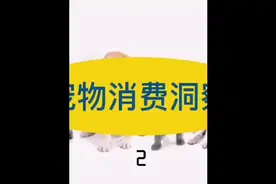 2-宠物消费洞察#宠物 #消费 #趋势 #萌宠 #数据视频封面
