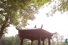 阴阳学说建立了中国文化思维的基础   从对立到统一   阴阳互根视频封面